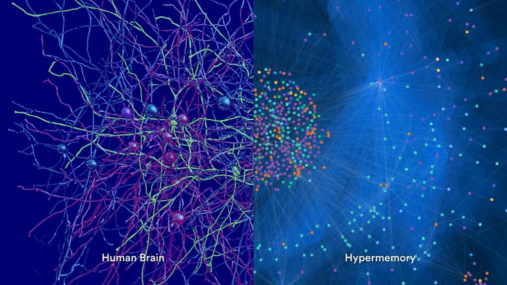 人間の脳の神経ネットワークとHypermemoryのハイパーグラフ・ネットワークの比較画像